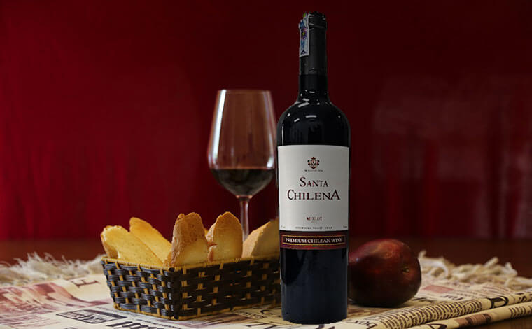 Rượu vang Santa Chilena Merlot có gì hấp dẫn? 2