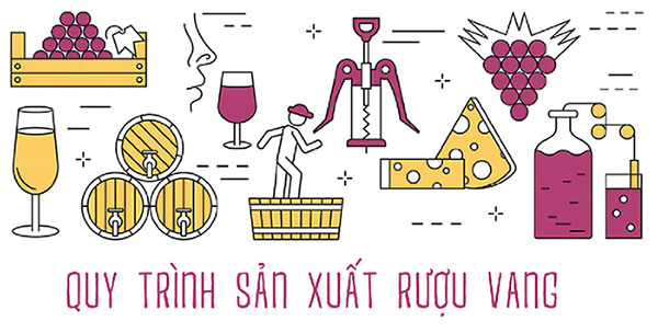 quy trình sản xuất rượu vang 