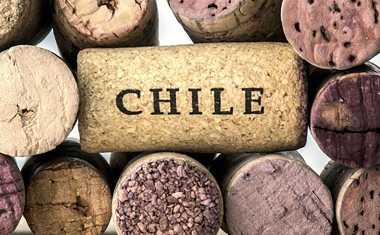 Rượu vang Chile nhập khẩu chính hãng - 4 điểm thu hút của vang Chile 7