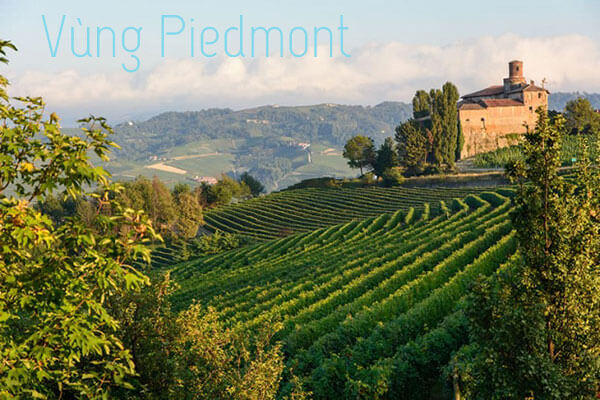 vùng Piedmont