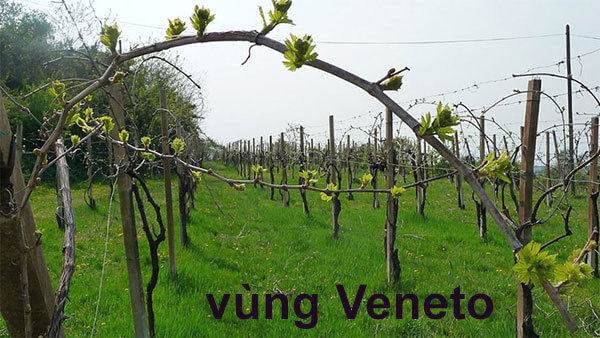 vùng Veneto