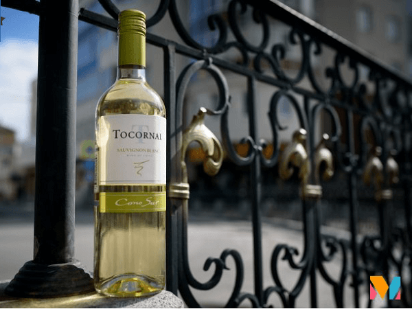 Vang trắng Cono Sur Tocornal Sauvignon Blanc