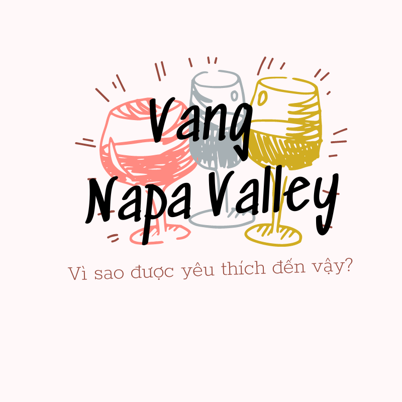 Điều gì đã làm nên sức hấp dẫn của vang Napa Valley