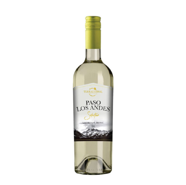 PASO LOS ANDES SAUVIGNON BLANC - WHITE 1