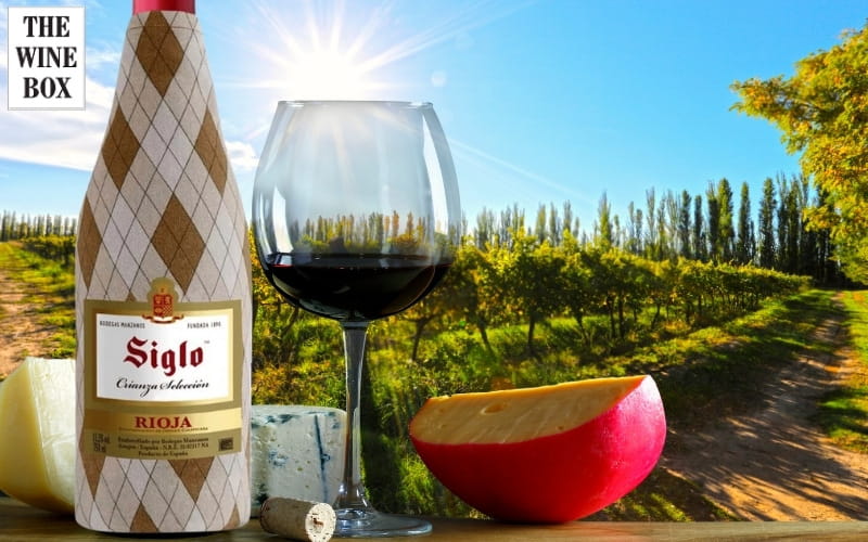 Một số đặc điểm nổi bật của rượu vang Siglo Crianza Seleccion