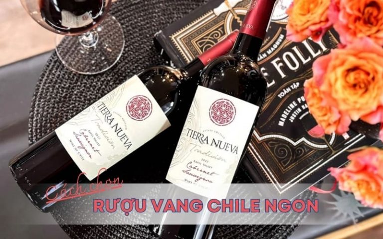 Hướng dẫn cách chọn rượu vang Chile ngon chuyên nghiệp như chuyên gia