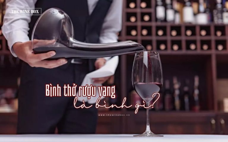 Bình thở rượu vang là bình gì? Có công dụng gì?