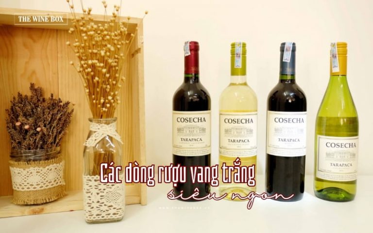 Điểm danh các dòng rượu vang trắng siêu ngon, được yêu thích