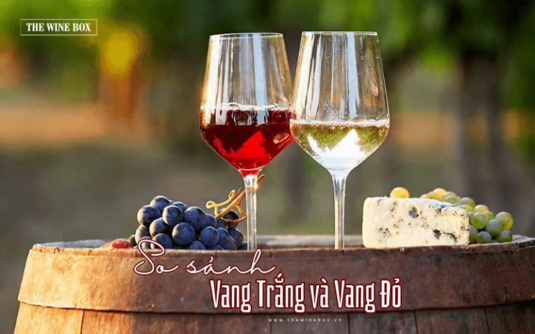 So sánh sự khác biệt giữa rượu vang trắng và vang đỏ